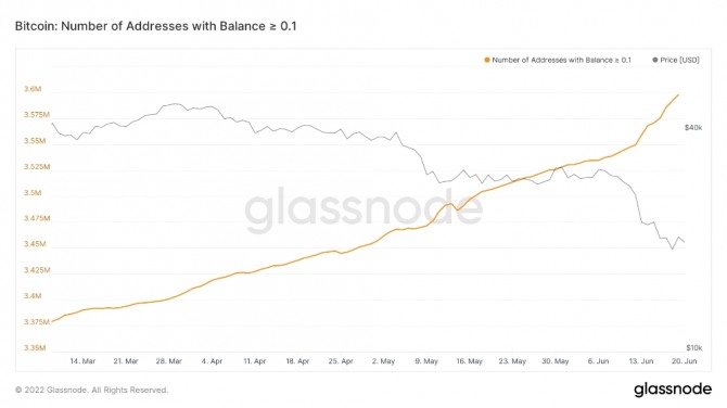 지난 10일 이후 비트코인 0.1개(약 2000달러) 보유자 지갑수가 급증했다. 출처=글래스노드
