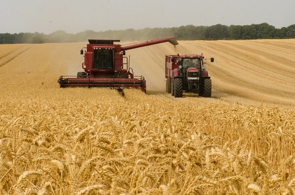 밀 수확하고 있는 우크라이나 곡창지대 모습
