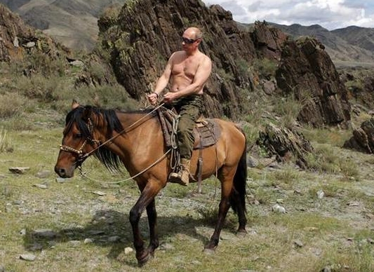 푸틴이 상의를 탈의하고 말을 타는 모습. 사진=로이터