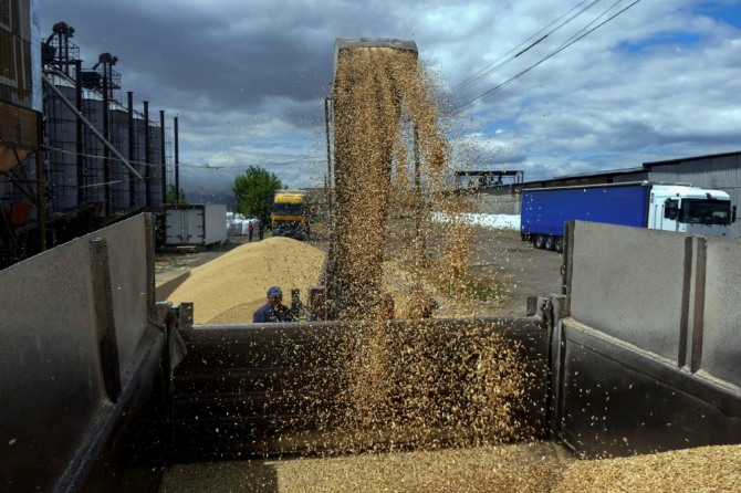 Um agricultor carrega cevada com cevada colhida na região de Odessa, na Ucrânia, enquanto a Rússia continua sua invasão da Ucrânia.  Foto = Reuters