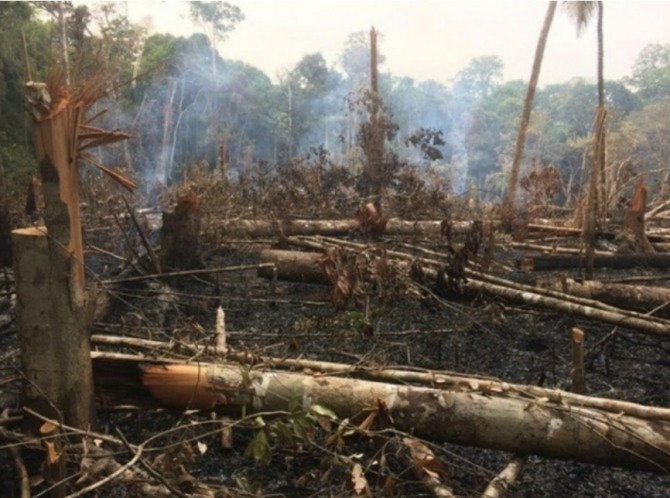 브라질 아마존이 무분별한 개발로 파괴되고 있다.사진=INPE