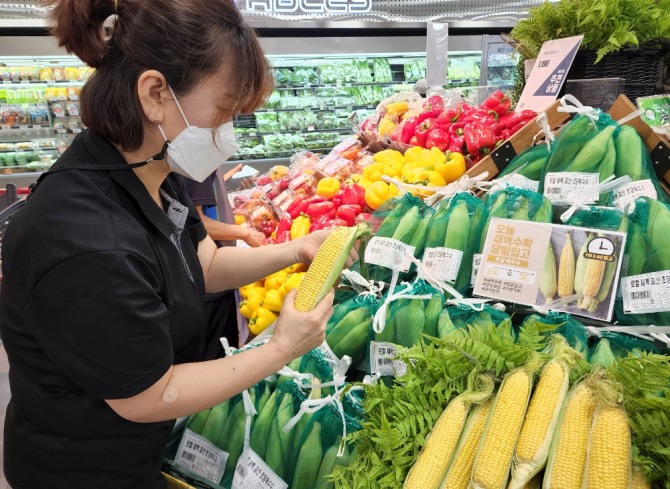 롯데마트가 새벽에 수확한 옥수수를 당일 판매하는 '산지뚝심 괴산 초당옥수수' 행사를 진행한다. 사진=롯데마트