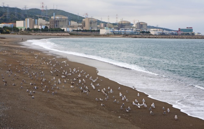 일본 8개 전력회사는 24년 만에 최대 124억 달러의 채권을 발행할 예정이다. 자료=글로벌이코노믹