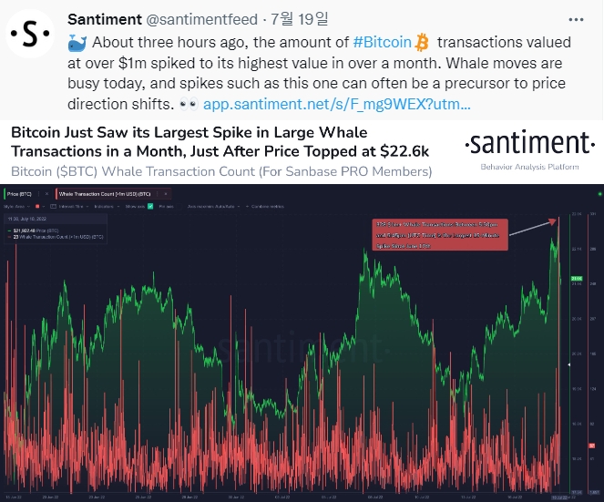 블록체인 분석기업 산티먼트는 지난 19일 비트코인 고래 활동이 전날인 18일 급증했다고 전했다. 출처=트위터