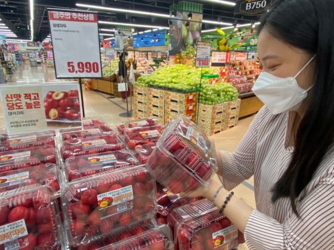 롯데마트가 일반 상품대비 25% 저렴하게 판매하는 상생자두. 사진=롯데마트