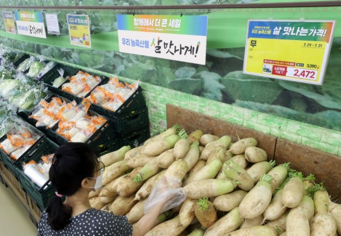 지난 7월31일 오전 서울 서초구 농협유통 하나로마트 양재점에 무와 배추가 진열돼있다. 출처=뉴시스.