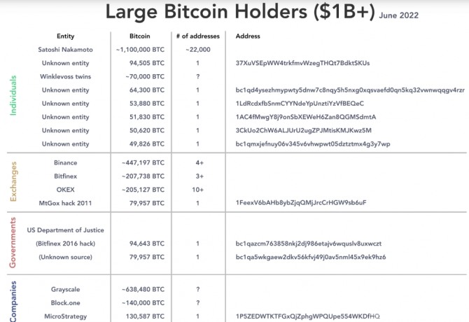 2022년 6월 기준 비트코인(BTC)최대 보유자 도표. 출처=크립토슬레이트