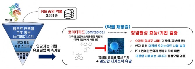 약물 가상 스크리닝 기술을 이용한 로미타피드 항암효능 개발 인포그래픽. 사진=KAIST