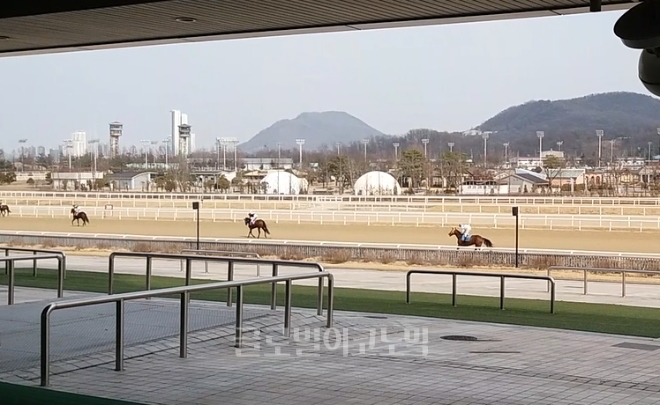 2021년 3월 경마 관계자들이 경기 과천 한국마사회 서울경마공원에서 경주마와 훈련을 하고 있다. 사진=글로벌이코노믹DB