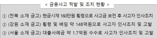 새마을금고중앙회의 금융사고 적발 및 조치 현황, 강원과 서울의 사고는 앞서 언론을 통해 공개된 바 있다. [자료=새마을금고중앙회]