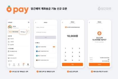 당근페이 계좌송금 기능. 사진=당근마켓