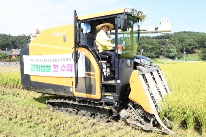 유천호 강화군수는 강화섬쌀 첫 수확에 콤바인을 이용해 벼를 베고 있다.  (사진=강화군)