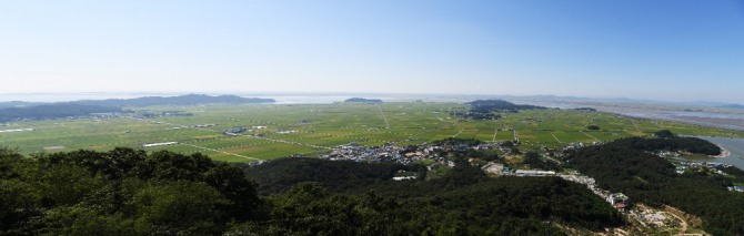 교동면 들녘에는 풍년으로 곧 수확 예정이다.  (사진=강화군)