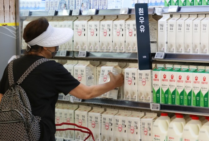 지난 12일 오전 서울 시내 한 대형마트에서 소비자가 우유를 고르고 있다. 사진=뉴시스