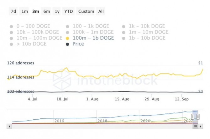 1억에서 10억 DOGE의 지갑 수가 지난주 동안 5% 증가했다. 출처=인투더블록