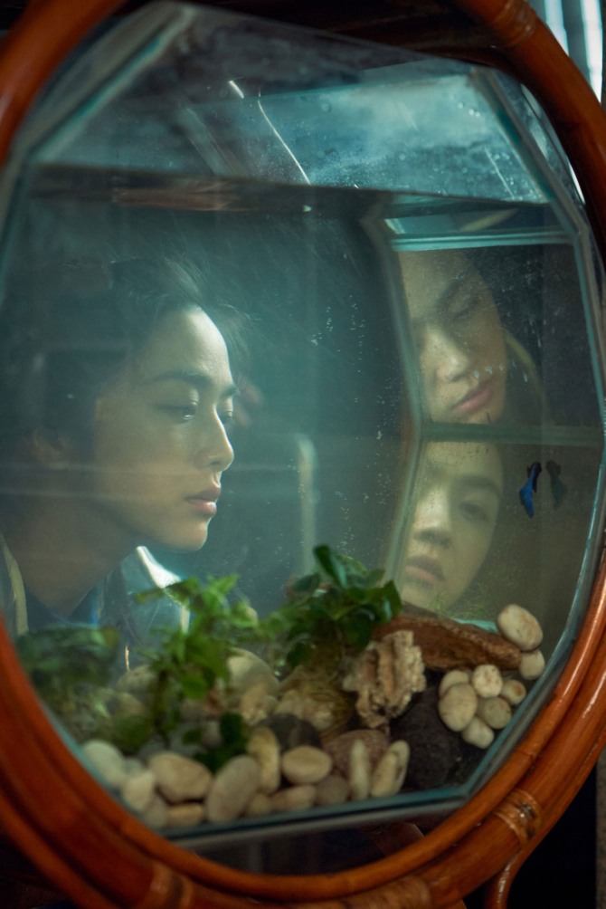 박찬욱 감독의 