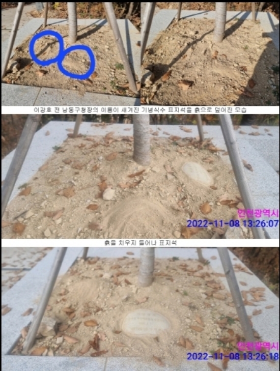 남동구 만수산무장애길 기념식수 표지석 흙으로 덮어져 있어 흙을 치우자 들어난 표지석 [사진제공=김양훈 기자]