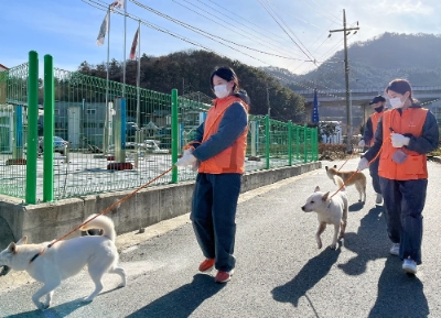 갤러리아 파란 봉사단이 지난 30일 동물자유연대 '온센터'에 방문, 봉사활동을 진행했다. 사진=갤러리아백화점