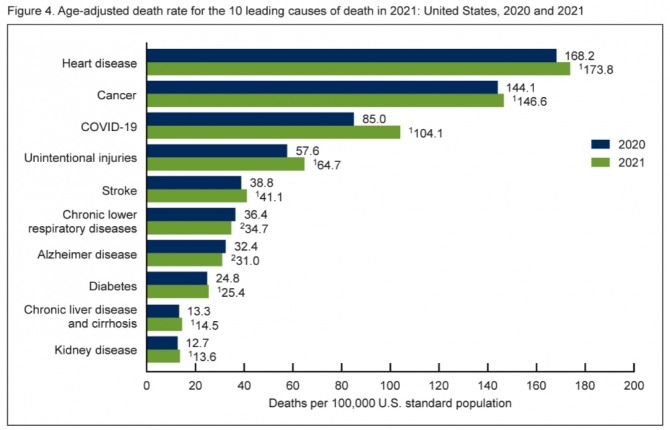 미국인의 주요 사망 원인. 사진=미 CDC