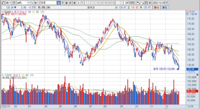 애플의 지난 1년여간 주가 변동 추이. 키움증권 HTS 캡처