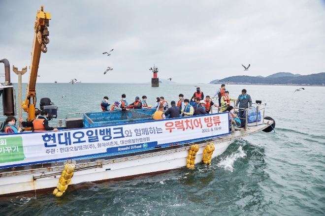 현대오일뱅크은 지역사회 상생활동 중 하나로 '바다 가꾸기 사업'을 통해 우럭치어 등을 바다에 방류해 어민 소득 증대에 손을 보태고 있다. 사진=현대오일뱅크