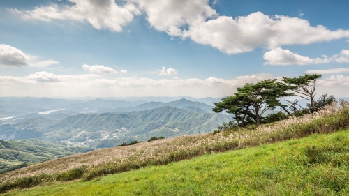 양평 ‘100년의 숲’ 정상. 사진=한화호텔앤드리조트.