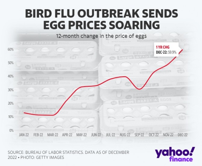 미국의 계란 가격 추이. 사진=야후뉴스