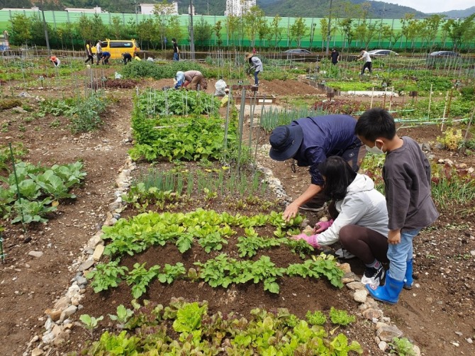 순천시(시장 노관규)는 도시농업 문화 확산을 위해 순천시민을 대상으로 다음 달 6일부터 8일까지 도시 텃밭을 분양한다. / 전남 순천시=제공