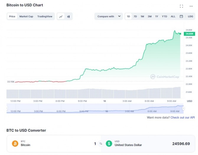 16일 비트코인(BTC)/ 달러(USD) 1일 가격 차트. 비트코인이 전일 대비 11% 이상 급등해 2만4600달러 수준에서 거래되고 있다. 출처=코인마켓캡