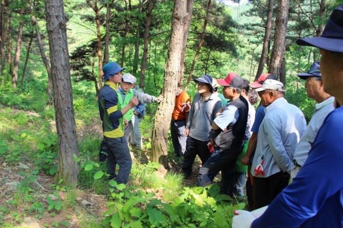 청송임산물대학 운영