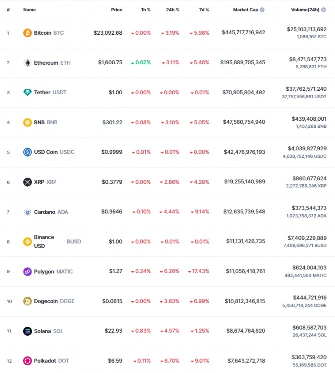 25일 오후 4시 48분 현재 코인마켓캡 기준 시가총액 12위 코인시황. 비트코인(BTC)은 24시간 전 대비 3.19% 하락해 2만3092.68달러에 거래됐다. 출처=코인마켓캡