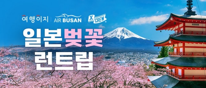 사진=교원이지.