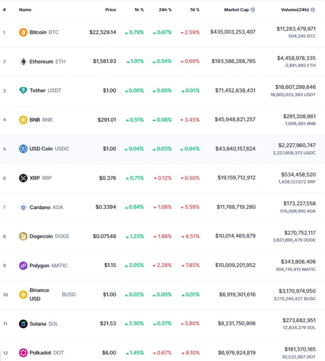 5일 오전 10시 20분 현재 코인마켓캡 기준 시가총액 12위 코인시황. 비트코인(BTC)은 24시간 전 대비 0.67% 올라 2만2529.14달러에 거래됐다. 출처=코인마켓캡