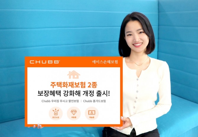 사진=에이스손해보험