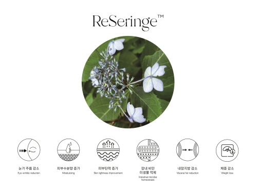 사진=코스맥스.