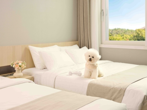 사진=한화호텔앤드리조트