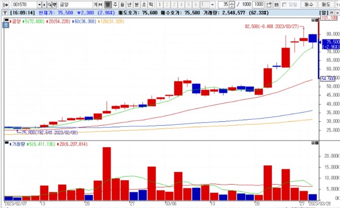 금양주가가 연속 상승행진을 멈추고 하락으로 돌아섰다. 사진=금양