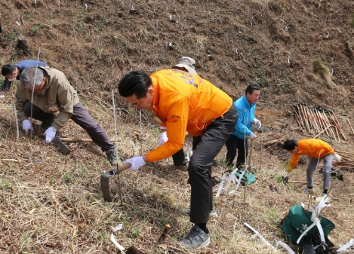지난 4일 김인규 하이트진로 대표(가운데)가 강릉 산불피해지역에 나무를 심고 있다. 사진=하이트진로.