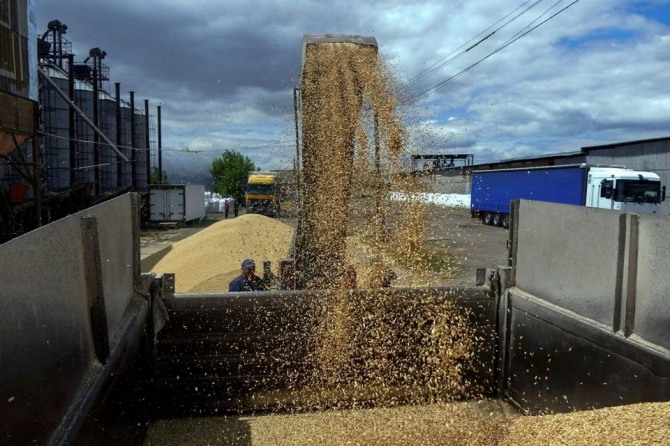 우크라이나에서 수입된 곡물. 사진=로이터