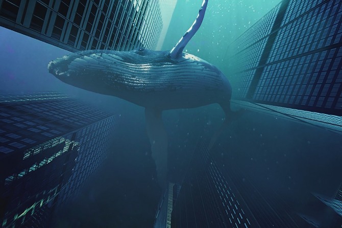 비트코인 고래들이 지난 5일 거래소에서 2억4000만달러(약 3185억 원)을 인출해 가격 하락 우려가 제기됐다.  사진=픽사베이