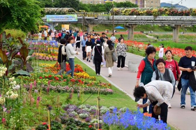 지난 19일 화려한 시작을 알린 장성 황룡강 洪(홍)길동무 꽃길축제에 100억 송이 봄꽃을 감상하려는 상춘객 행렬이 이어졌다. 문화대교 미디어 조명과 용작교 야간조명, 플라워 터널까지 연계된 명품 야경 코스도 방문이 끊이지 않았다. / 전남 장성군=제공