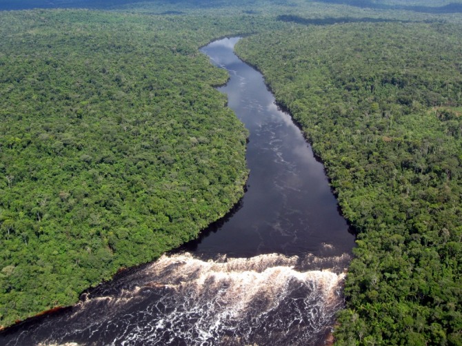 영국은 아마존 산림 벌채를 예방하기 위해 7300만 달러를 기부하기로 했다. 자료=글로벌이코노믹