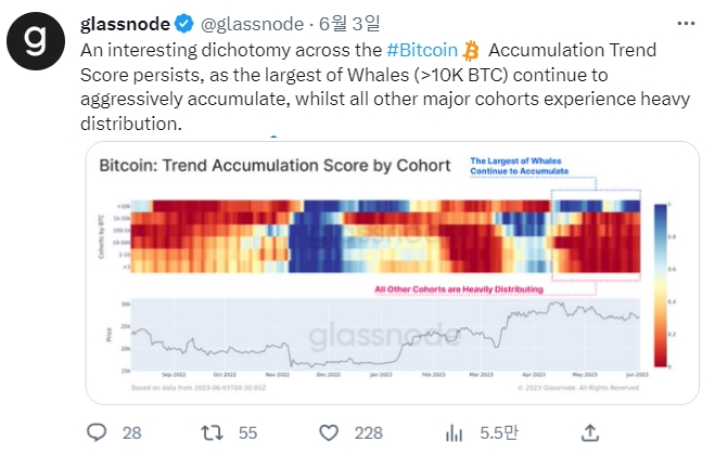 글래스노드가 지난 3일 공개한 데이터에 따르면 비트코인 고래들이 자산을 축적하고 있는 것으로 나타났다. 사진=글래스노드 트위터