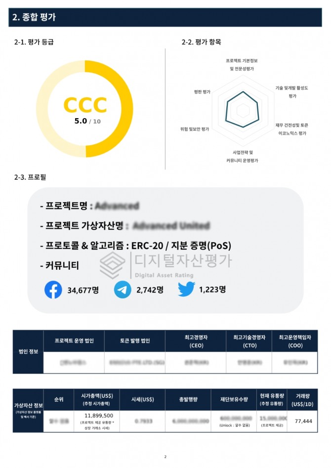 디지털자산평가의 평가서 예시. 모든 평가항목은 정량화된 수치에 기반해 측정한다. 사진=디지털자산평가