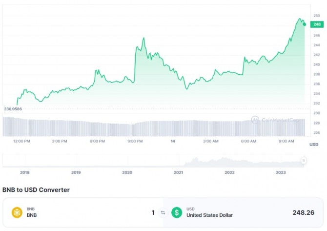 14일 오전 10시 27분 기준 바이낸스 코인(BNB)/달러(USD) 가격 1일 차트. 바이낸스 코인이 전일 대비 약 8% 급등해 248.26달러를 기록했다. 출처=코인마켓캡