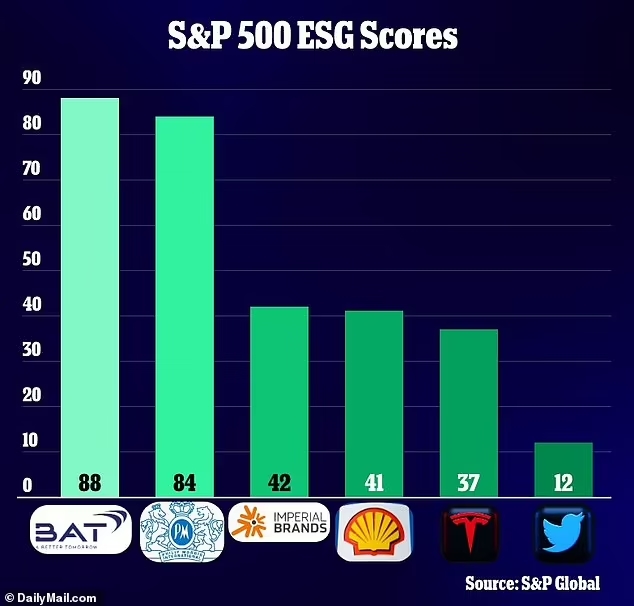 테슬라의 ESG 평가 점수. 사진=S&P 글로벌