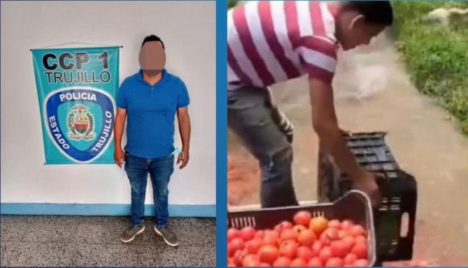 화물차에 넣을 기름이 없어 운송하지 못한 토마토를 무단 폐기한 베네수엘라 농부. 사진=타레크 윌리엄 사브 베네수엘라 법무부 장관 트위터 캡처·연합뉴스