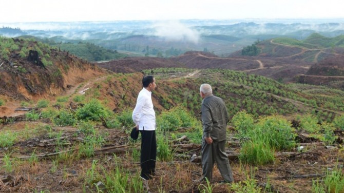 조코 위도도 인도네시아 대통령(왼쪽)이 새로운 수도가 건설될 누산타라를 방문해 부지를 둘러보고 있다. 사진=로이터