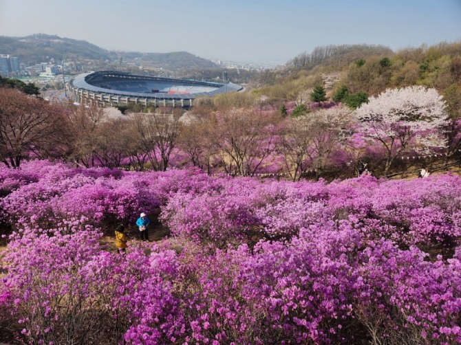 부천8경 중 3경 진달래동산  (사진=부천시)
