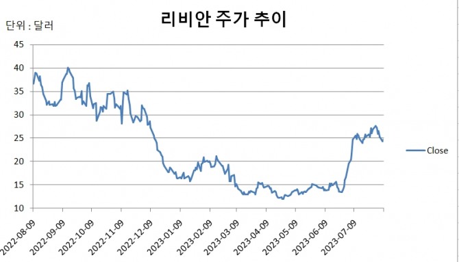 리비안 52주 주가 추이   그래프=정준범 기자